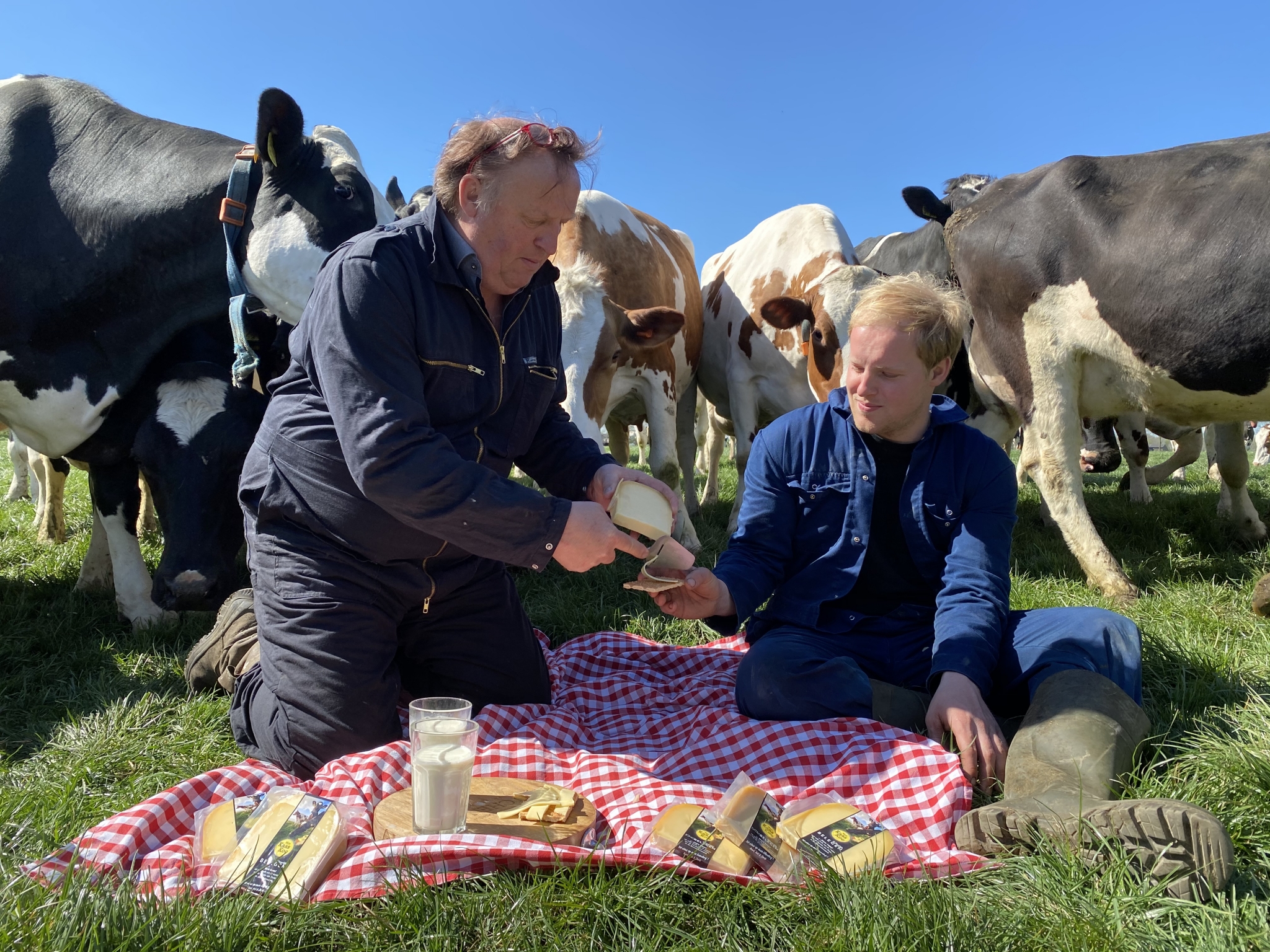 Boer Bert en Joris picknicken tussen de koeien